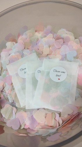 Sacchetti prefatti carta - 10,